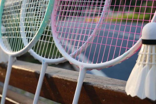 球拍真的能改變你的技術 答案 不可能