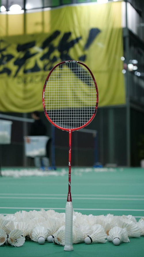 深度測評 2024均衡之刃元旦限定款球拍